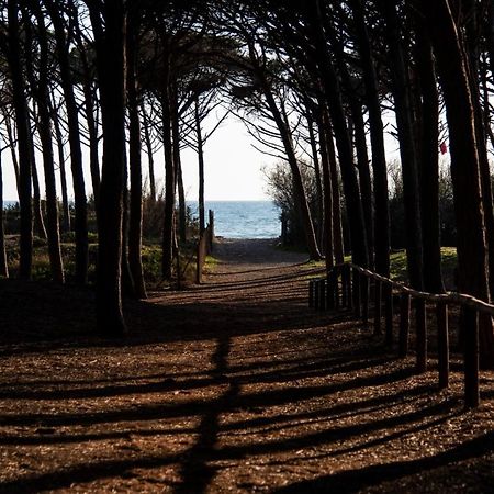 Appartamento Il Bucaniere A Marina Di Cecina Exterior photo
