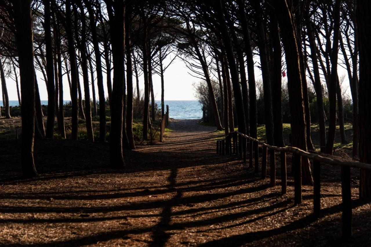 Appartamento Il Bucaniere A Marina Di Cecina Exterior photo